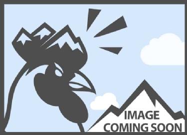 Acquistare SALOMON ASSASSIN PRO WIDE